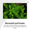 Bhuiamlaki Capsules - Your Livers Best Ally - Liver Health - 120N view 2