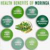 Ahoy! Organic Moringa Powder view 4