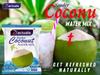 AACTUALA Tender Coconut Water Powder Mix  Pack of 15 Sachets (15g Each)  Instant Hydration with Natural Electrolytes  No Artificial Flavors or Preservatives  Ideal for Fitness & Daily Refreshment view 4