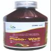 Plato Well Syrup 200ml Herbal Support for Immunity and Platelet Health view 1