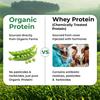 Vlado's Himalayan Organics Organic protein Powder I Plant protein I 28G Protein , 5G BCAA I Made with 100% Organic Pea's I Clean & Vegan Protein I Lab Tested I Fast Absorbing, No Bloating, Easy to Digest | Faster Muscle Recovery I Unflavoured - 500 G view 3