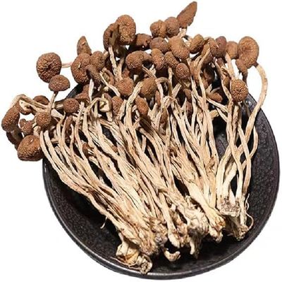 Dried Tea Tree Mushroom 100gm | Agrocybe Cylindracea | ChaShuGu Dried Edible Tea Tree Mushrooms