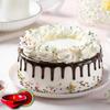 EG2i Black Forest For Diwali Same Day Delivery view 1