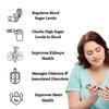 Hasumi Neem Karela & Jamun Powder |Ayurvedic Supplement for Diabetes Care and Weakness (200 Gram) view 2