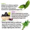 Hasumi Neem Karela & Jamun Powder |Ayurvedic Supplement for Diabetes Care and Weakness (200 Gram) view 4
