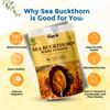 Plan B Sea Buckthorn Berry Powder 100g | Vitamin C Rich Superfood for Skin, Immunity & Detox | Pure, Freeze-Dried, No Additives | Vegan & Gluten-Free Supplement view 2