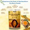 Plan B Sea Buckthorn Berry Powder 100g | Vitamin C Rich Superfood for Skin, Immunity & Detox | Pure, Freeze-Dried, No Additives | Vegan & Gluten-Free Supplement view 4
