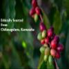 7 Yards Coffee Roasters - Cafe Blend - Dark Roast Coffee Beans (500 gm, Whole Beans) view 4