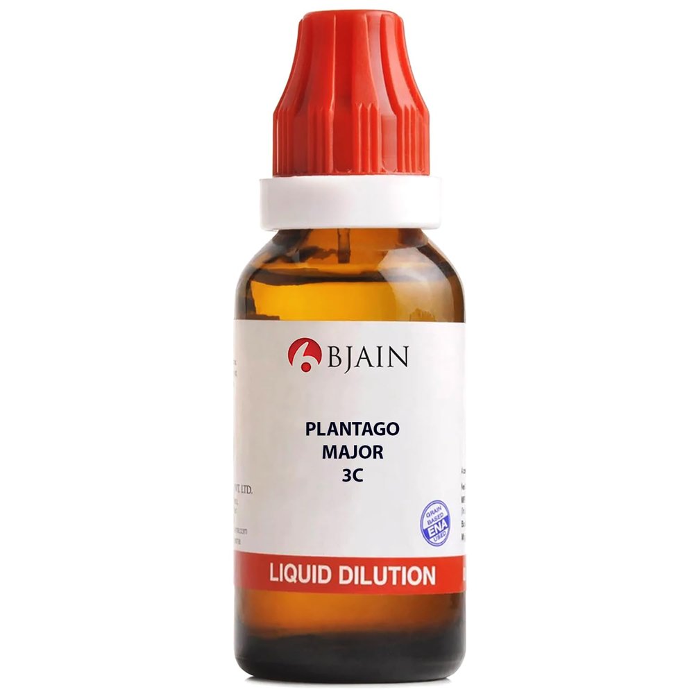 Bjain Plantago Major 3C Homeopathic Liquid Dilution, 30ml