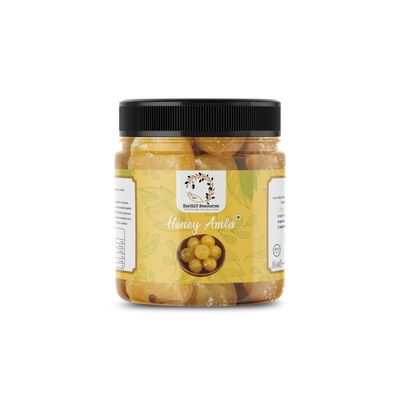 Earthly Resources Honey Amla | Natural, Tasty, Unadulterated | Sweet and Tangy Amla Coated in Honey | Rich in Vitamin C | 480gm