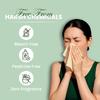 Claret Bamboo 2-Ply (18 x 20 cm) Facial Tissue | 100 Pulls | Bamboo Rich Pulp | OBA Free | Gentle & Soft (Pack Of 4) view 4