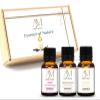 Aadi Mool Sandalwood, Jasmine & Rose Oil Combo Pack of 3 (10ml Each) | Essential Oil for Face, Skin, Hair, Aromatherapy & Massage | Chandan, Jasmine and Rose Oil for Diffuser & Pooja view 1