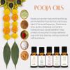 Aadi Mool Sandalwood, Jasmine & Rose Oil Combo Pack of 3 (10ml Each) | Essential Oil for Face, Skin, Hair, Aromatherapy & Massage | Chandan, Jasmine and Rose Oil for Diffuser & Pooja view 2