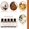Aadi Mool Sandalwood, Jasmine & Rose Oil Combo Pack of 3 (10ml Each) | Essential Oil for Face, Skin, Hair, Aromatherapy & Massage | Chandan, Jasmine and Rose Oil for Diffuser & Pooja view 3