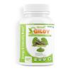 Divya Shree Giloy Capsules  Natural Immunity Booster  800mg  60 Veg Capsules  Supports Detox, Fever Relief & Respiratory Health view 1