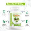 Divya Shree Giloy Capsules  Natural Immunity Booster  800mg  60 Veg Capsules  Supports Detox, Fever Relief & Respiratory Health view 4