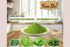 Dehydrated Sarson Bathua Saag Mix-3 x 100gm  Dehydrated Mustard & Bathua Leaves  Instant & Authentic Taste of Punjabi Saag | Off-Season Saag | Easy to Cook | | Pack of 3 view 4