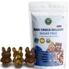 HealthyCrave Cuisine Kids Choco Delight  Sugar-Free Dry Fruit Chocolate Bites | High Fibre Omega Snack for School Tiffin | Gluten-Free Healthy Treat for Children | 250g view 1