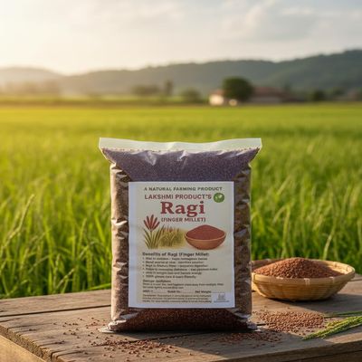 LAKSHMI PRODUCT'S Organic Ragi Whole (900 Gram) - Unpolished Finger Millet | Gluten Free Nachni | Whole Grain Ragi | High Plant Protein & Fiber (Net Quantity:-900 Gram)
