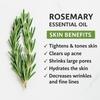 AAYURV ORGANIC Rosemary Hair Growth Essential Oil, 100% Pure & Natural 15 ml bottle view 4