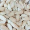 CHASKA BITE Coconut Peda Soft & Chewy Toffee | Real Peda Toffee |Candy | Milk Toffee |(200 G) view 4