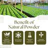 Purenso Select - Jatamansi Powder, 100g I Natural Hair & Skincare, Moisturizer, Herbal Cosmetics view 3