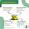 79 Degree Himalayan Green Tea | Rich in Antioxidants, Fresh from the Mountains Wellness in Every Sip | Gentle on the Palate| Enhances Metabolism| Loose Leaf (100Gm, Himalayan Mist Green) view 4
