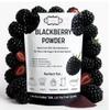 Confect Blackberry Powder | Pure & Natural Fruit Powder for Smoothies, Baking, Beverages, Juices, Tea & DIY Recipes | Vegan, Gluten-Free, No Added Sugar 100 Gms view 1