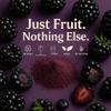 Confect Blackberry Powder | Pure & Natural Fruit Powder for Smoothies, Baking, Beverages, Juices, Tea & DIY Recipes | Vegan, Gluten-Free, No Added Sugar 100 Gms view 2