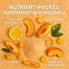 Confect Peach Fruit Powder | Pure & Natural Fruit Powder for Smoothies, Baking, Beverages, Juices, Tea & DIY Recipes | Vegan, Gluten-Free, No Added Sugar  150 Gms view 4