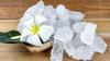 BRIGHT BLOOM Alum Stone For Skin Fitkari - White Crystal Stones - For Skin Tightening And Glowing Skin - Phitkari - Firkiri Alum Stone - (500 GM) view 2