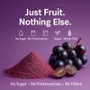 Confect Grapes Fruit Powder | Pure & Natural Fruit Powder for Smoothies, Baking, Beverages, Juices, Tea & DIY Recipes | Vegan, Gluten-Free, No Added Sugar  100 Gms view 2