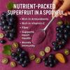 Confect Grapes Fruit Powder | Pure & Natural Fruit Powder for Smoothies, Baking, Beverages, Juices, Tea & DIY Recipes | Vegan, Gluten-Free, No Added Sugar  100 Gms view 4