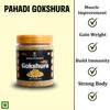 Soam Ayurveda's Pahadi Gokshura -150g | Gokhuru Powder | Improves Energy, Muscle Strength, Stamina & Supports Recovery (Pack of 1) view 2