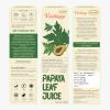 Seva Sadan Papaya Leaf Juice 500 ml | Natural Herbal Juice for Wellness & Immunity Support | No Added Sugar or Preservatives view 2