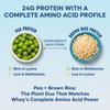 Foodstrong Gut Friendly Plant Protein - Vanilla | 24g Complete Plant Protein with Probiotics, Digestive Enzymes, Prebiotics & Indian Herbs | Vegan | No Sugar | 500g view 3