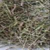Aadi16's Bengal Spice Ayurvedic Medicinal Kalmegh Plant, Sun Dried Crushed Leaves/Powder to Boost Immunity, Promotes Brain & Liver Health, Pack of 80gm. view 2
