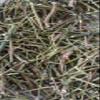 Aadi16's Bengal Spice Ayurvedic Medicinal Kalmegh Plant, Sun Dried Crushed Leaves/Powder to Boost Immunity, Promotes Brain & Liver Health, Pack of 80gm. view 3