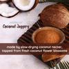 Mevano Coconut Sugar for Kids & Adults, 50g (trial pack) | Unprocessed Coconut Jaggery Natural Sweetener (Gur/Gud) Powder | Healthy Sugar Substitute | No Preservatives or Additives view 3