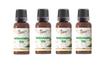 Dwarika, Pure Mehndi Nilgiri (Eucalyptus) Oil for Mehndi Cones | Mix Henna Mehendi Sadi Oil for Bridal & Cone Making | Natural Tea Tree Blend for Dark Color (Pack of 4) view 1