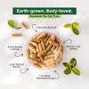 Green Aura Papaya Restore Capsules (60 Capsule) | 500mg Carica Papaya Leaf Extract | Natural Platelet Support, Immunity Booster & Post-Viral Recovery | Digestive & Liver Health Supplement view 3