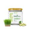 Green Aura Tulsi Shield Capsules (120 Capsule) | Ayurvedic Antiviral & Antimicrobial Supplement | 500mg | Ideal For Immunity, Stress Relief & Detox view 1