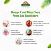 Biosash Seabuckthorn Diabo Juice 250ml | Organic Herbal Juice with Omega 3 6 7 9 | Metabolic Health & Energy Support | Natural Seabuckthorn Supplement for Sugar Balance & Daily Immunity view 4