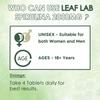 LEAF LAB 100% Organic Tablets 2000 mg Per Serving - Spirulina Powder Organic Tablets | Supports Energy, Immunity & Detox | Certified Spirulina Tablet - 120 Tablets (Pack of 2) view 3