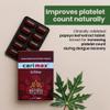 Kerala Ayurveda Carimax Tablet | Papaya Leaf Extract for Platelet Support & Immune Health | Clinically Validated Formula | 10 Tablets view 2
