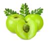 3V PRODUCTS Amla Powder - Pack of 2x100g - Nellikai | Indian Gooseberry view 3