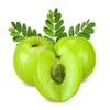 3V PRODUCTS Amla Powder | Indian Gooseberry Powder - 50 Gram view 3