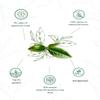 1950 origins Premium Loose Leaf Tea Combo | Darjeeling Mist (80g) & Regal Harmony Assam-Darjeeling Blend (150g) | 100% Natural | Whole Long Leaf & CTC Tea | Aromatic, Fresh & Pure Leaf view 2