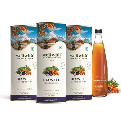 Wellwith (Ayuzera) Diawell (Diabowin) Karela & Jamun Diabetic Care Juice with Sea Buckthorn Berry 300ml | Chirata and Punarnava | Ayurvedic | Control Blood Sugar | Upto 50 Glass Juice (Pack of 3)