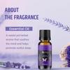 Aerra Lavender Essential Oil (15ml) - Pure Aroma Oil for Diffuser, Room Freshener, DIY - Soothing Scent view 2